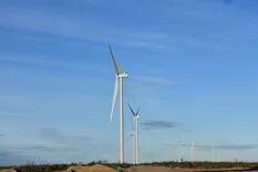 Ordenaron suspender el polémico “impuesto al viento” que aplica el municipio de Puerto Madryn