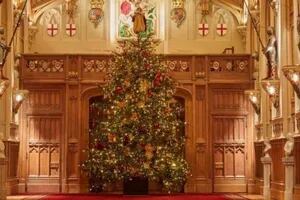 Llegó la Navidad a Windsor: así luce el árbol de seis metros de la reina Isabel II