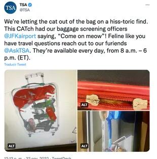 Publikasi TSA tentang kucing dalam koper yang menjadi viral