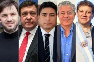 Con Torres a la cabeza, los gobernadores patagónicos van al Congreso y crece la puja con Milei