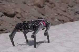 Entrenan un robot para que pueda caminar en la luna