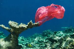 Olas de plástico: la alarmante situación de los océanos