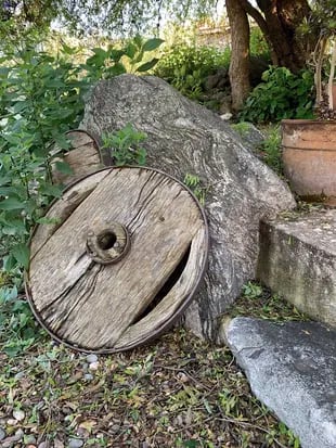 Una vieja rueda de carro puede convertirse en un verdadero tesoro para emplazarse en lugares estratégicos del jardín