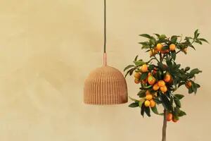 En Francia, las cáscaras y residuos de naranjas, pomelos y mandarinas se transforman en lámparas y tazas