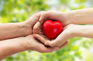 Día del Corazón: cuáles son los factores de riesgo y qué hábitos ayudan al sistema cardiovascular