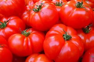 Qué hay detrás del aumento explosivo del tomate, el producto que más subió en el año