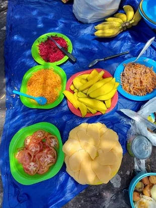 Los almuerzos suelen ser en versión picnic, con frutas, verduras y alguna proteína.