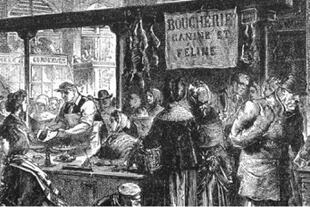 "Carnicería canina y felina", dice el cartel de este local, donde se agolpaban los parisinos en 1870 para proveerse de carne de gatos y perros y así saciar su hambre