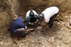 Abrieron una tumba milenaria en Panamá y lo que encontraron los dejó sin palabras