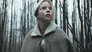 The Witch, one of the most critically acclaimed horror films of the last decade, is no longer available on Netflix