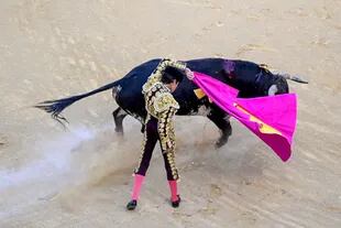 Las corridas de toros se consideran parte del patrimonio cultural inmaterial en muchos estados de México
