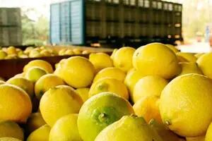 Después de 20 años, la Argentina ya puede exportar limones a China