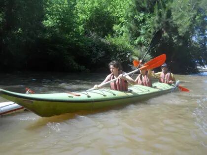 Los paseos en kayak parten de Tigre y se adentran río arriba hasta la isla Providencia. 