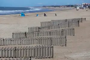 El ingenioso método que usan en Villa Gesell para retener arena en las playas