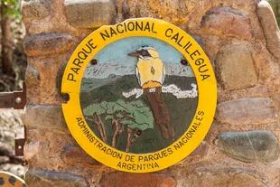 El burgo, que pertenece a una familia de aves selváticas exclusiva de América, es emblema del PN Calilegua.