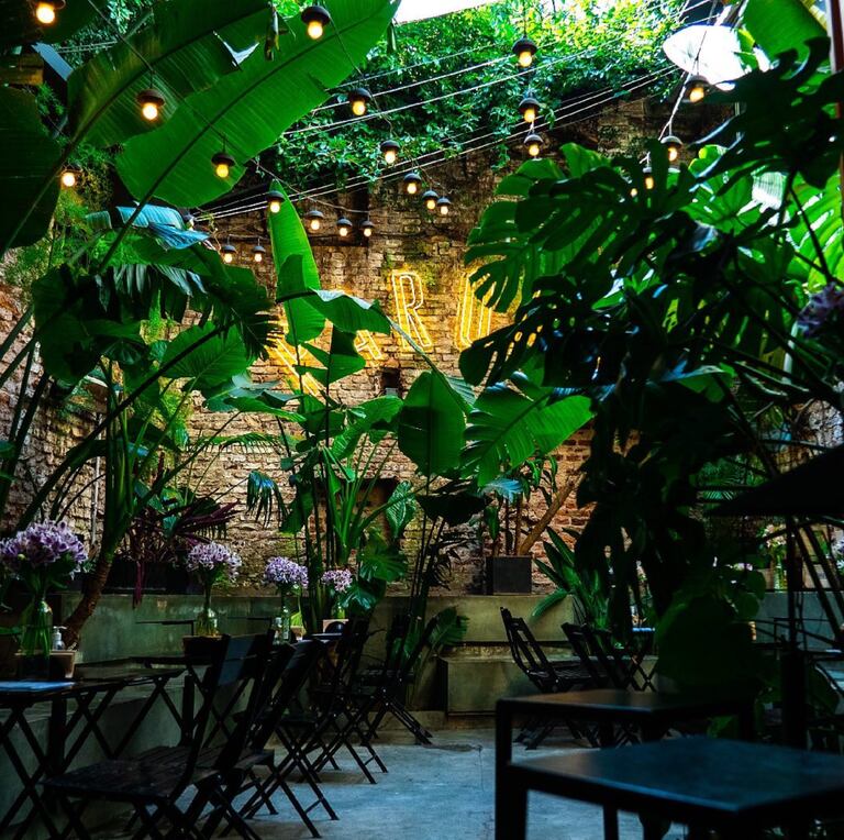 Interior y exterior se funden en Parque Bar para una experiencia sumamente verde