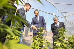 El gobernador Gustavo Valdés, en las instalaciones del proyecto de innovación productiva Caá Cannabis
