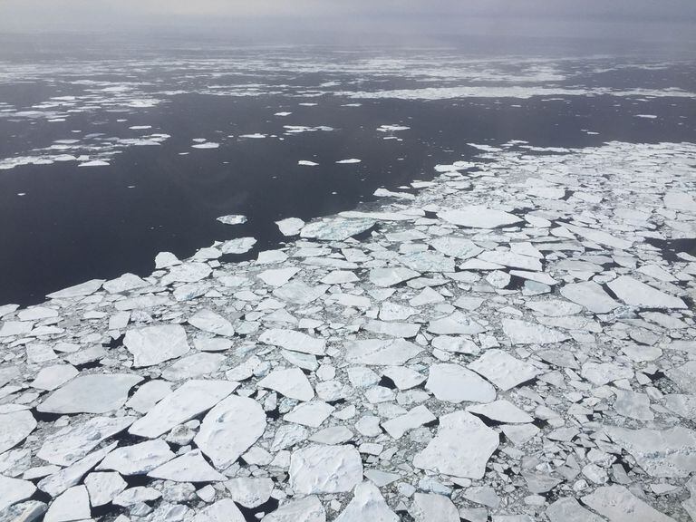 27-10-2016 Una colección de pequeños témpanos de hielo rotos en la Antártida el 27 de octubre de 2016. POLITICA INVESTIGACIÓN Y TECNOLOGÍA NASA/NATHAN KURZ