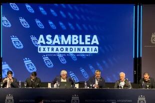 La Asamblea de la AFA del jueves en la que se eliminó uno de los tres descensos en la Primera División