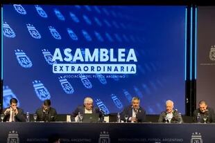 La Asamblea Extraordinaria de la AFA en Ezeiza decidió suprimir un descenso desde la primera división: bajarán dos equipos en lugar de tres