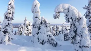 Durante la Guerra de Invierno, las tropas finlandesas aprovecharon el paisaje nevado del bosque y emplearon tácticas de guerrilla