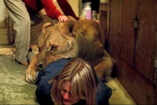 Melanie Griffith fue atacada por un león y casi queda desfigurada