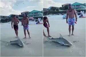 Las terribles imágenes donde dos hombres torturan y matan por diversión a un tiburón en la playa