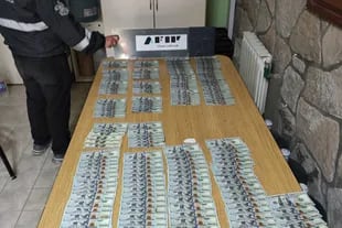AFIP kidnaps 75,600 dollars hidden in the air conditioning of a truck
