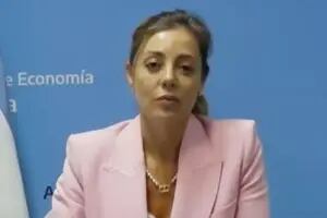 Flavia Royón dio detalles de la intervención y aclaró que el Gobierno no se hará cargo de la operación
