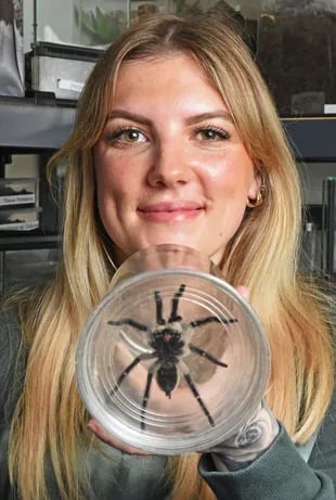 La joven tiene más de 400 arañas en su hogar y asegura que quiere seguir coleccionándolas.