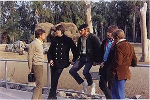 Los Beach Boys en  la histórica sesión de fotos que derivó en la tapa de Pet Sounds