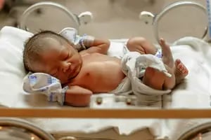 Avanzan las pruebas para ayudar en la gestación de los bebes fuera del vientre