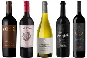 Cuáles son los vinos argentinos premiados por un prestigioso jurado internacional