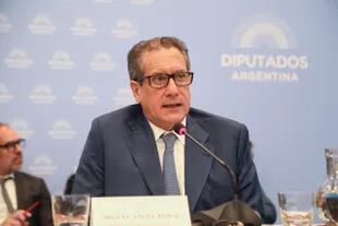 Miguel Pesce, titular del BCRA, en la Cámara de Diputados