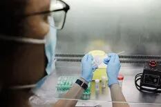 Confirmaron tres nuevos casos de viruela símica y ya son 12 en el país