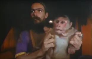Una escalofriante escena de Faces of Death muestra la (falsa) muerte de un mono que luego es diseccionado