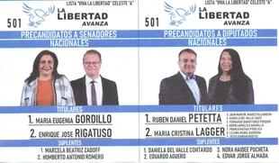 La coalición Avanza Libertad compite con lista única en Córdoba.