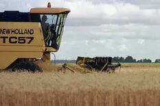 Por la sequía, las exportaciones de trigo caerán en más de US$525 millones