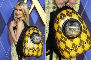 Del glamoroso paseo de Claudia Schiffer y su gato "encapsulado" al osado look de Kylie Jenner