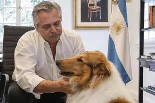 Alberto Fernández junto a su perro, Dylan