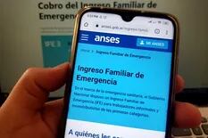 IFE 4 de Anses: Alberto Fernández evitó su confirmación y persisten las dudas