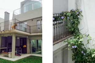 La foto de la izquierda es el antes. La foto de la derecha es el después de la obra que cuenta con la Thunbergia grandiflora que se engancha en el soporte con tensores para generar sombra al comedor de la planta baja que mira hacia el jardín.