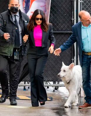 Salma Hayek, que se dejó ver con una blusa fucsia y un traje negro, llegó a los estudios del programa de Jimmy Kimmel Live! con una compañía muy especial: su perro. La actriz está en plena promoción del film Magic Mike 3 con Channing Tatum