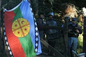 Un grupo de mapuches ocupó un predio de Emanuel Ginóbili en Villa La Angostura