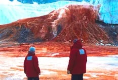 Cataratas de Sangre: el misterio de la Antártida que tardó 100 años en develarse