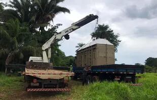La caja donde será trasladada la elefanta Mara fue construida en Brasil y enviada a Buenos Aires