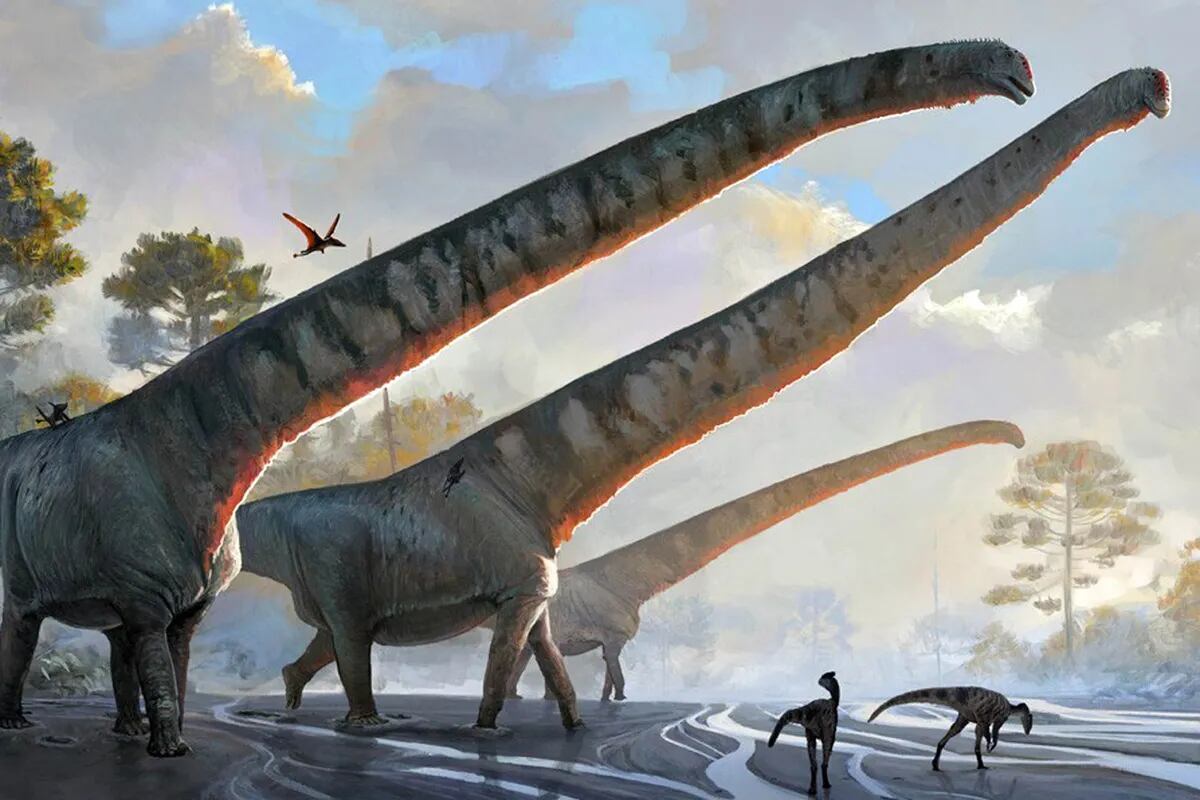Identificaron al dinosaurio con el cuello más largo jamás descubierto - LA  NACION