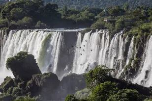 La magia del Parque Nacional Iguazú 