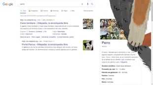 Así se ve Google cuando buscás "perro" (Captura de Google)