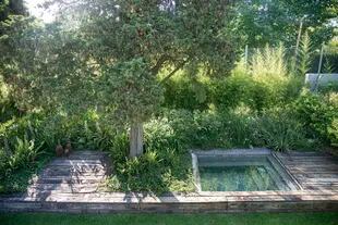 Un espejo de agua contenido entre durmientes antiguos refleja el follaje circundante y aporta frescura al jardín